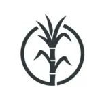 Gemini_Generated_Image_p3quj7p3quj7p3qu (5)